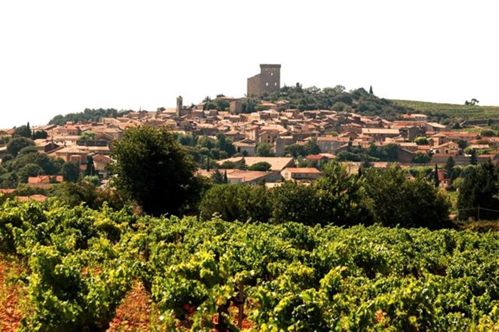 Le Mas De L'Amandier Saint-Saturnin-lès-Avignon Buitenkant foto